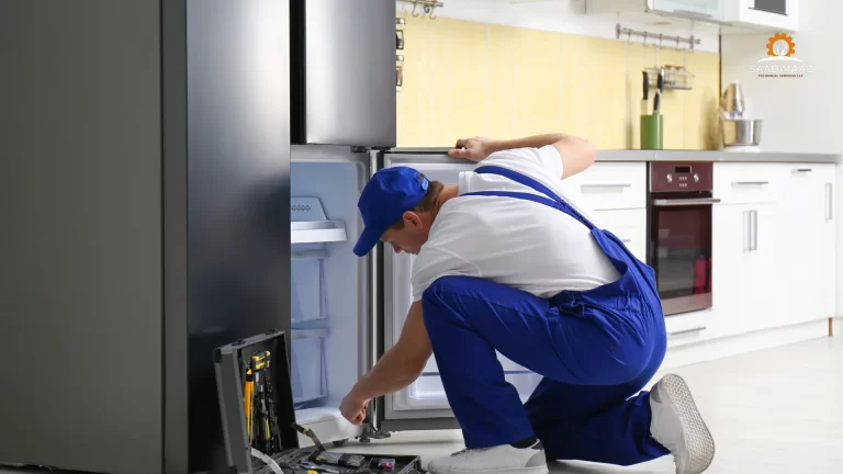 Büyükçekmece Electrolux Buzdolabı Servisi
