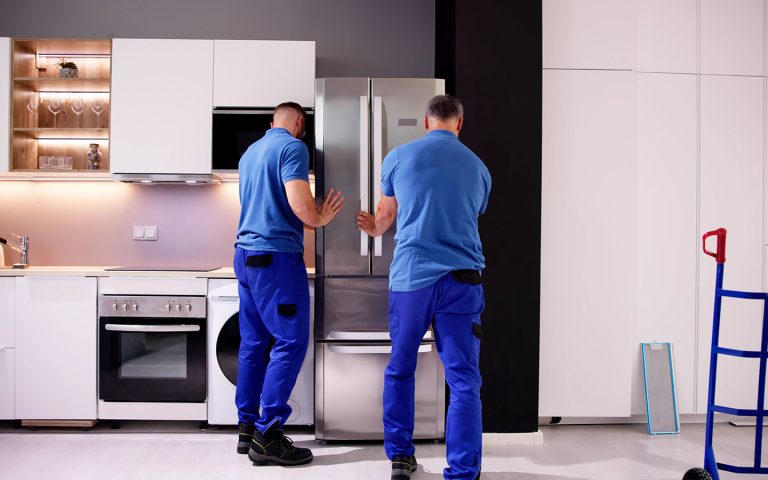 Büyükçekmece Teka Buzdolabı Servisi